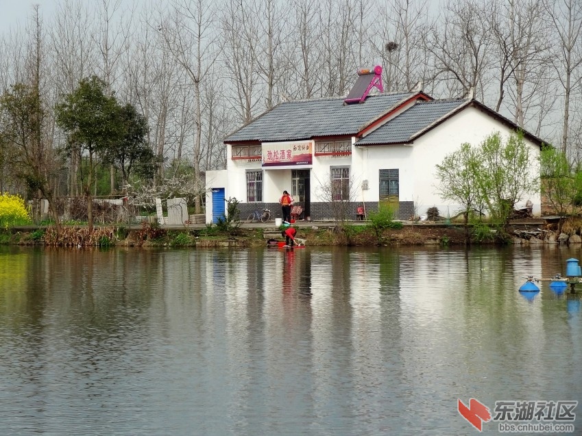 DSC04188_conew2.jpg