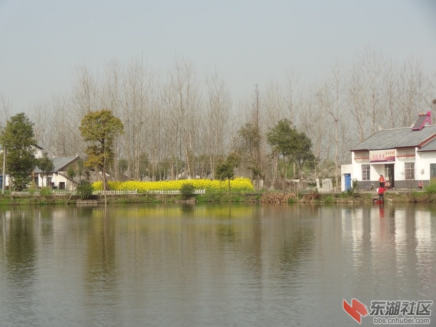 DSC04191_conew1.jpg