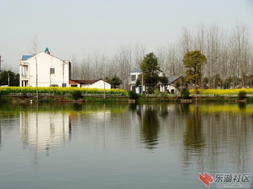 DSC04194_conew2.jpg