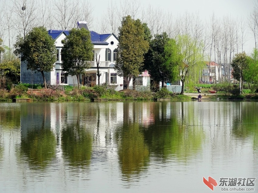 DSC04224_conew2.jpg