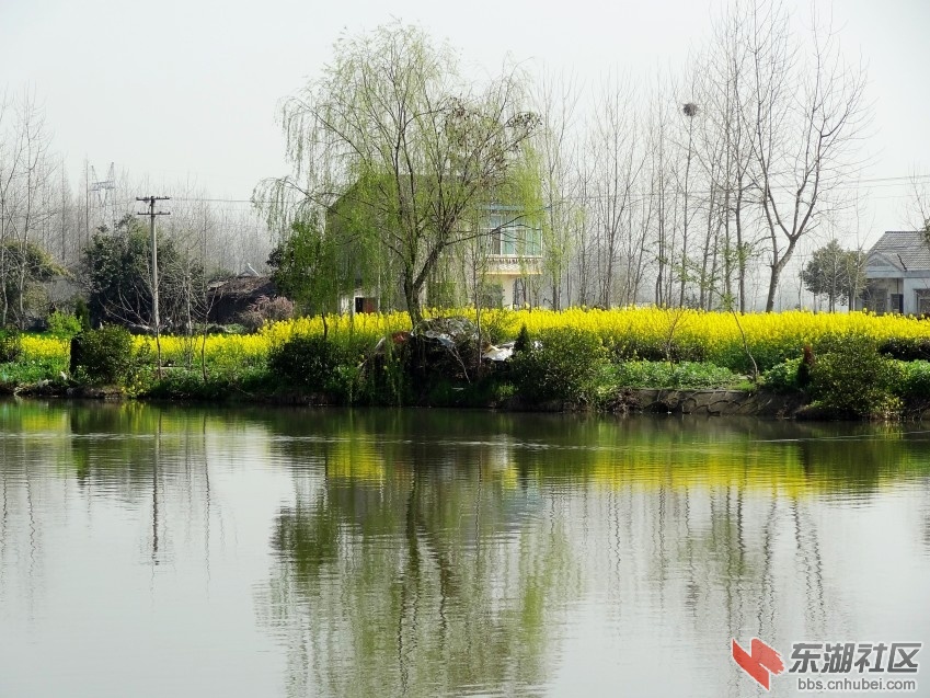 DSC04225_conew2.jpg