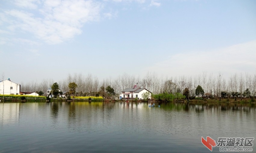 DSC04187_conew3.jpg