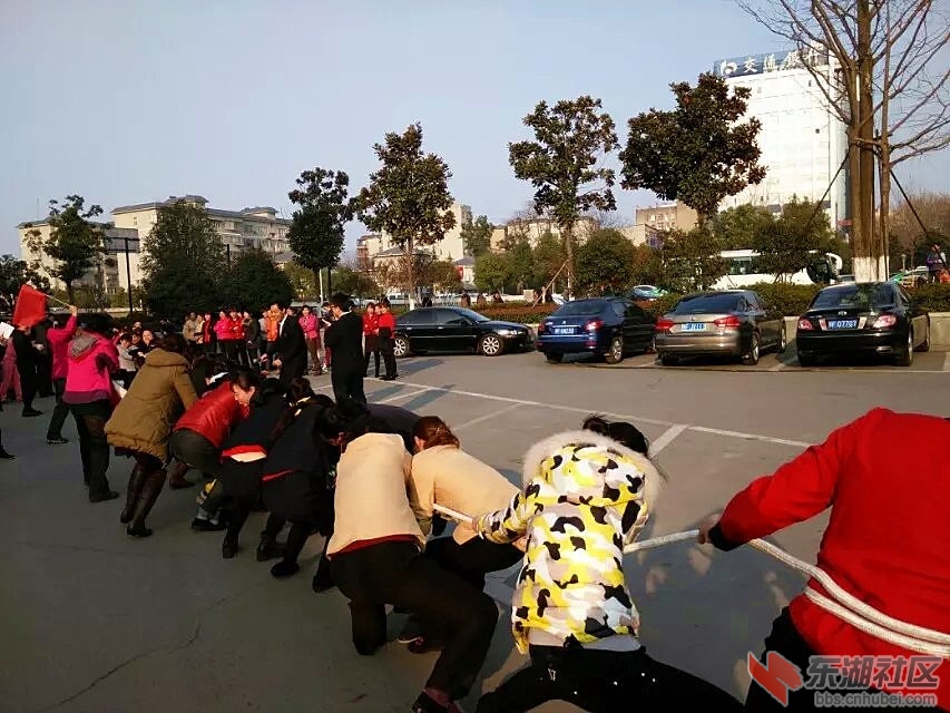 拔河4.jpg
