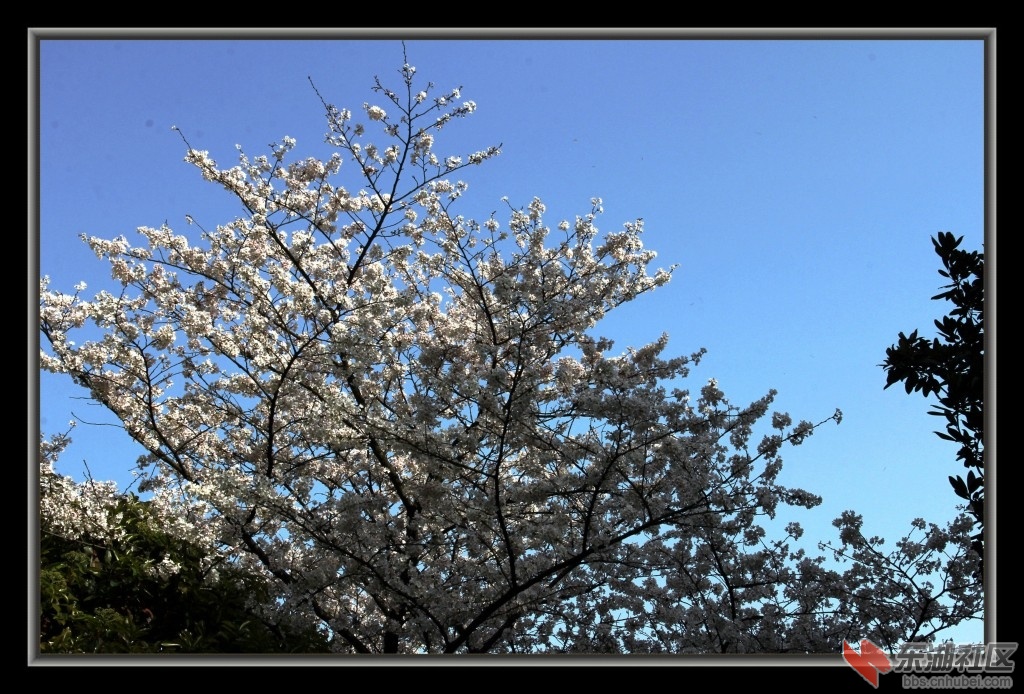 照片 013.jpg