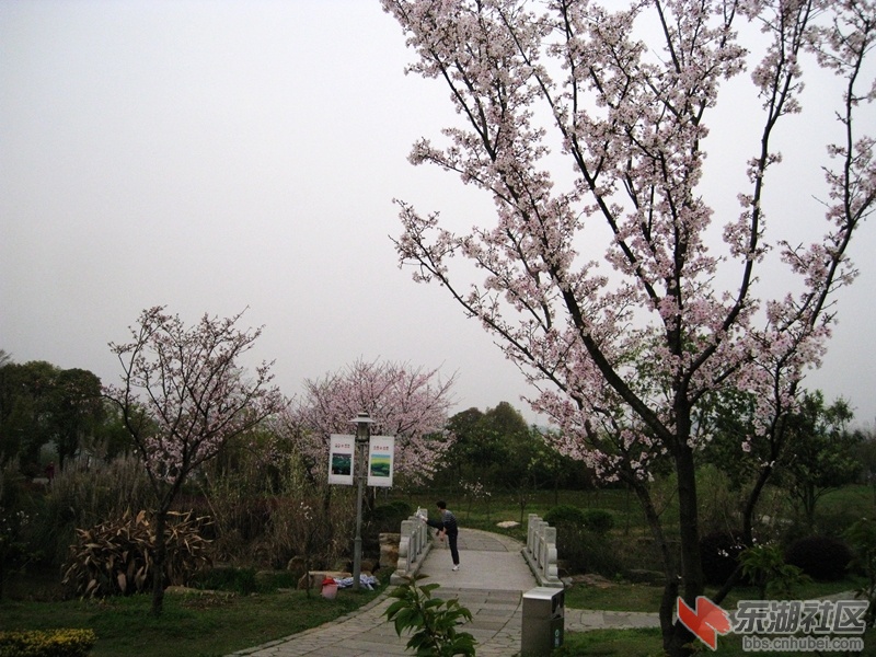 08.jpg