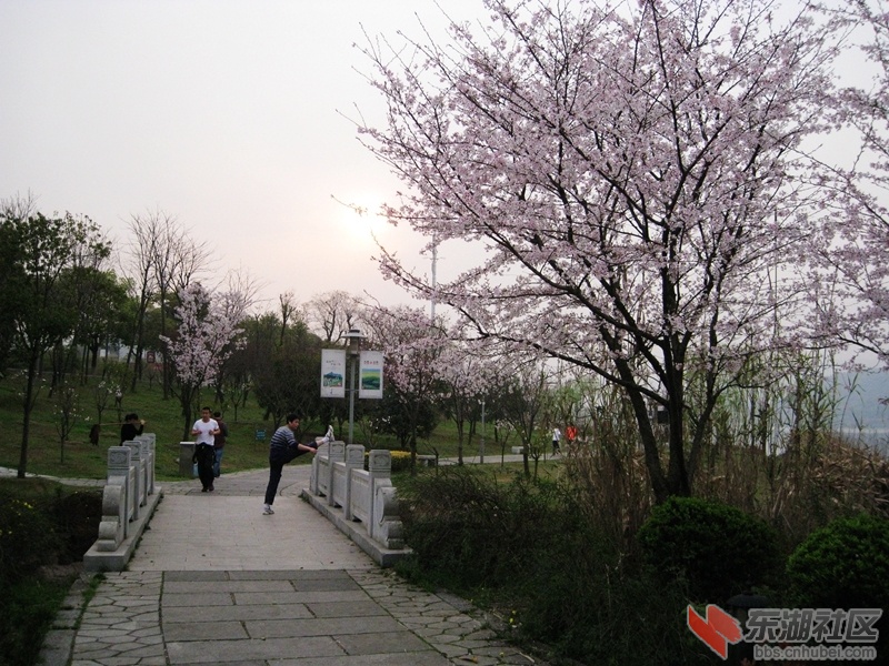 06.jpg