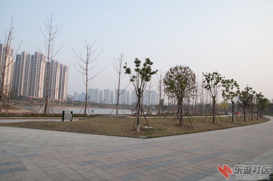nEO_IMG_DSC_3535.jpg