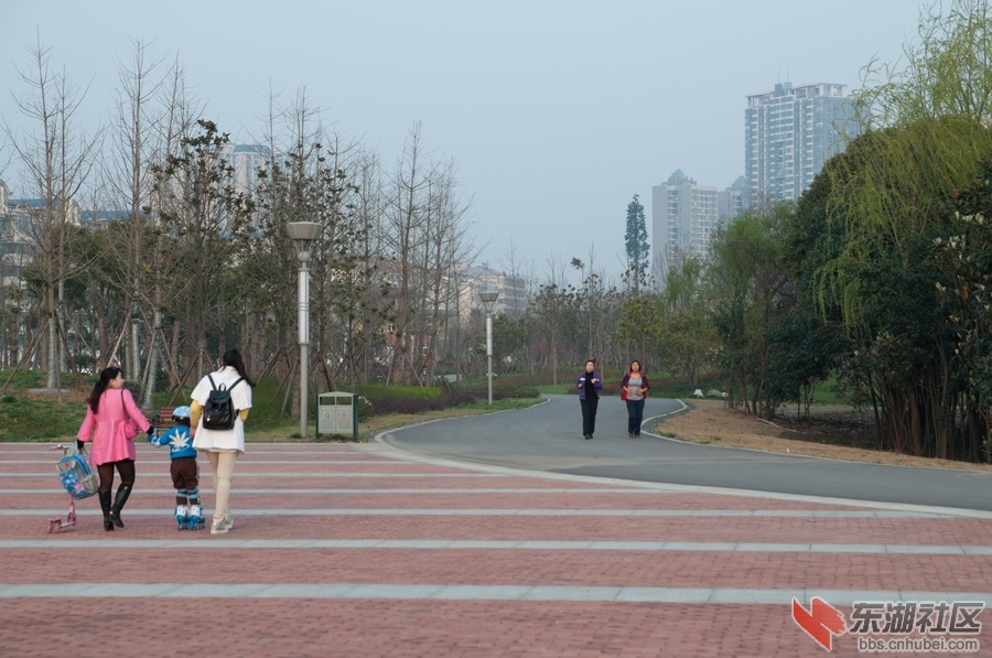 nEO_IMG_DSC_3552.jpg
