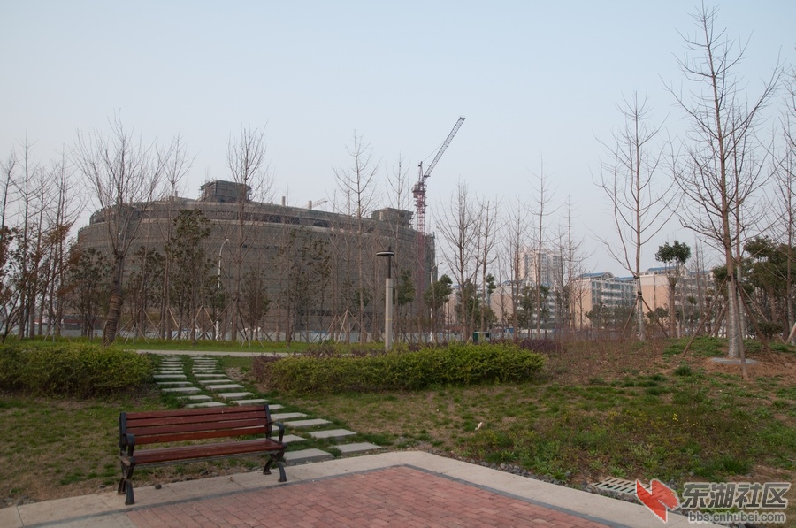 nEO_IMG_DSC_3569.jpg