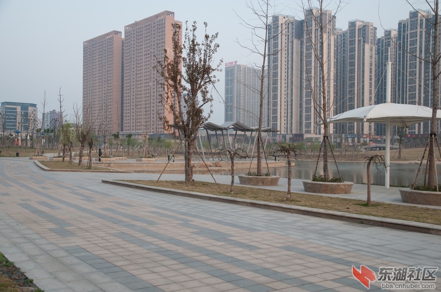 nEO_IMG_DSC_3612.jpg
