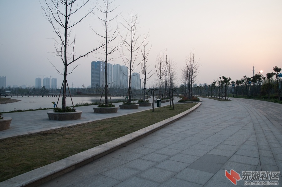 nEO_IMG_DSC_3617.jpg