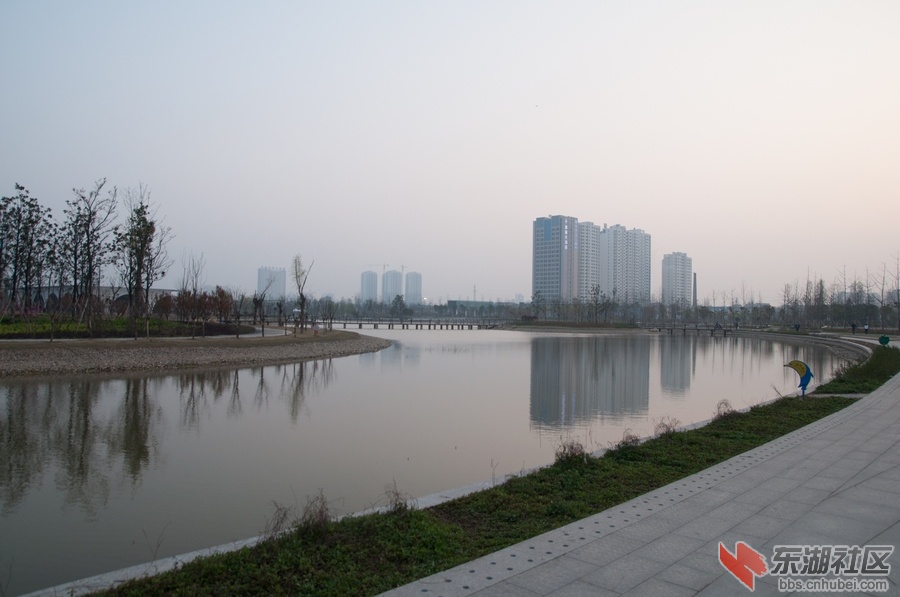 nEO_IMG_DSC_3631.jpg