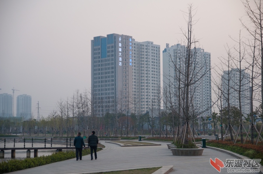 nEO_IMG_DSC_3693.jpg