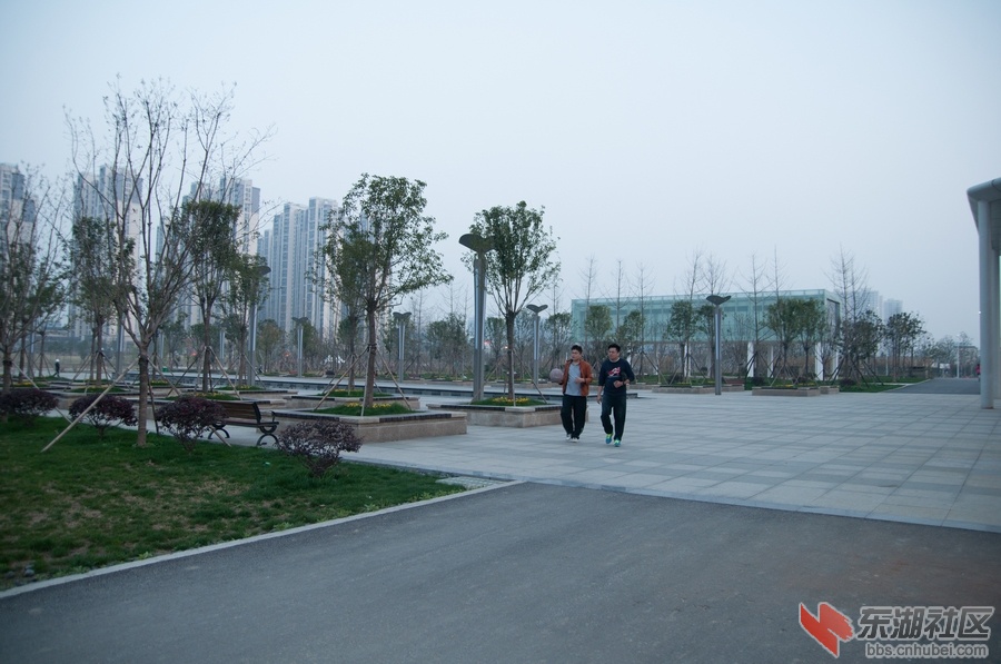 nEO_IMG_DSC_3832.jpg