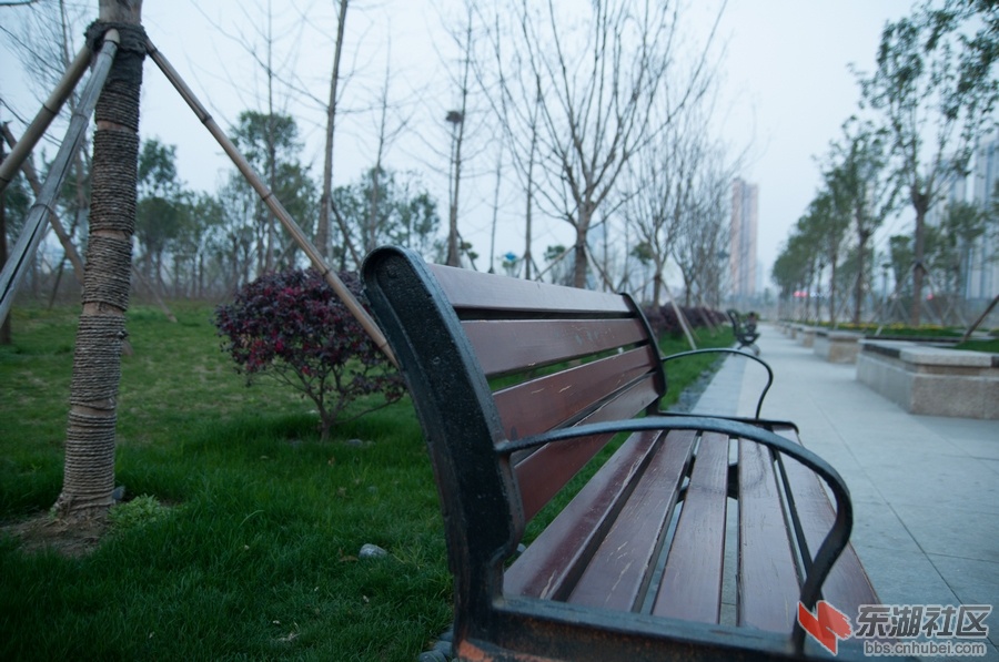 nEO_IMG_DSC_3839.jpg