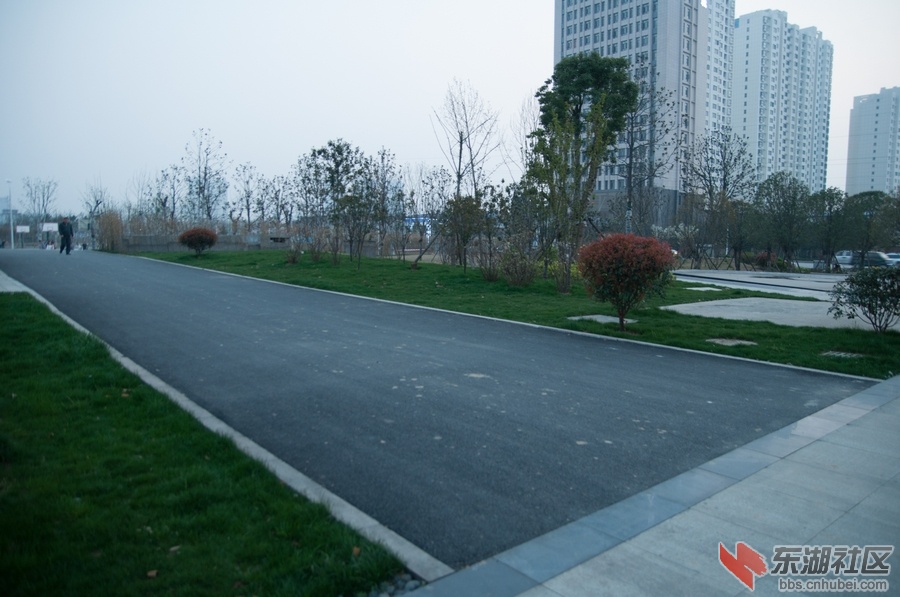 nEO_IMG_DSC_3849.jpg