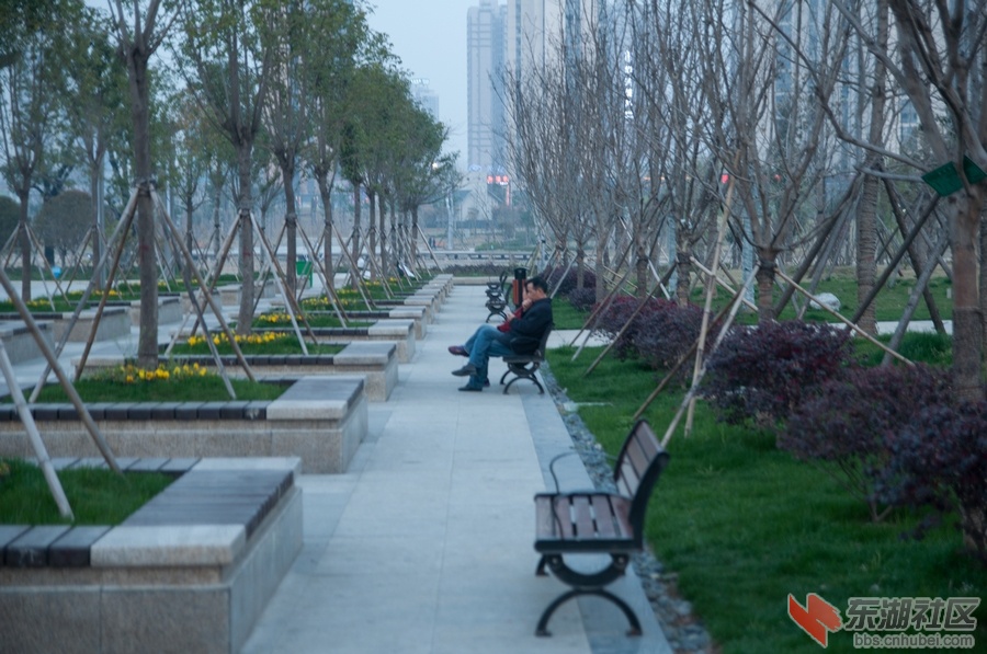 nEO_IMG_DSC_3852.jpg