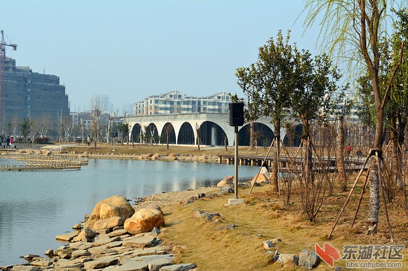 ZZGY_2342.jpg