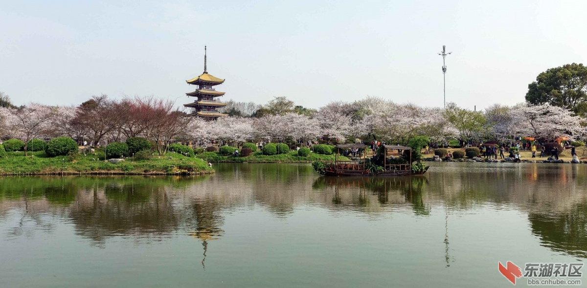 QQ图片20150324200750.jpg