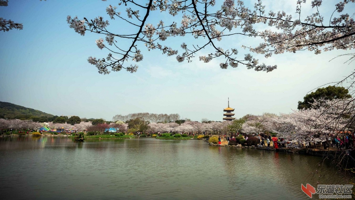 QQ图片20150324200804.jpg