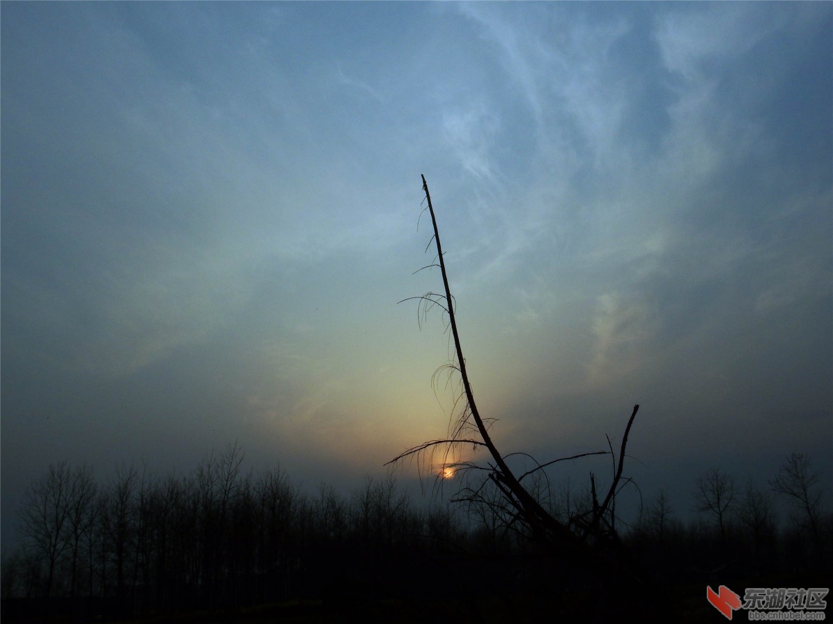 DSCF3503_副本.jpg