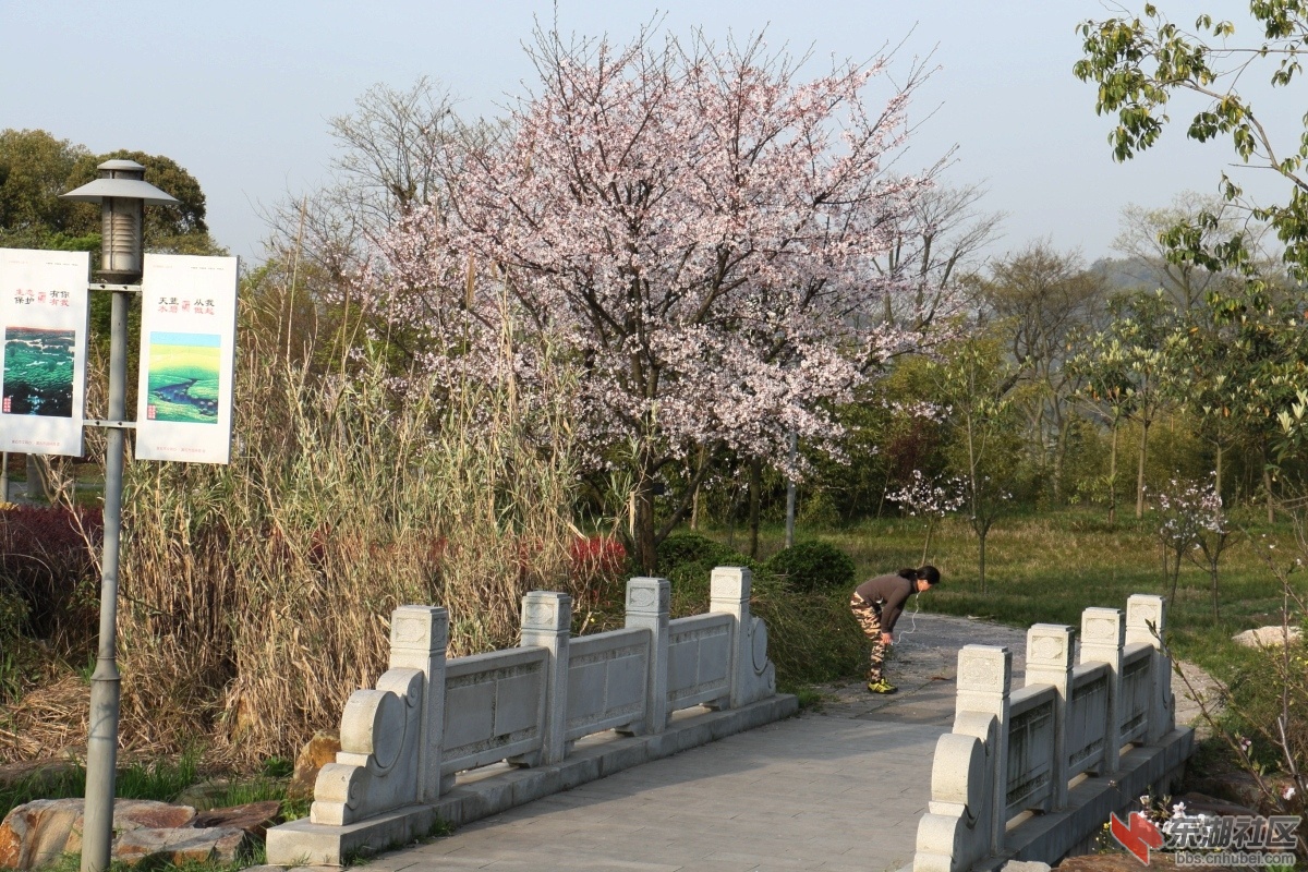 DPP_0026.JPG