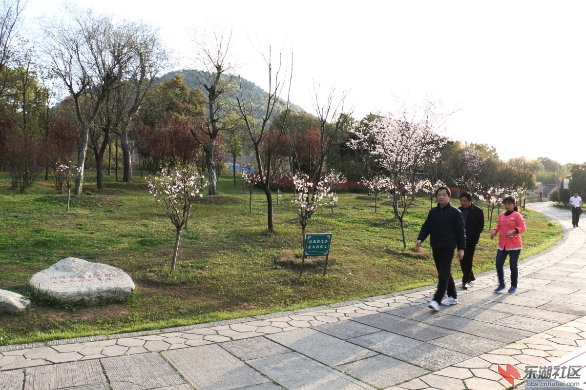 DPP_0030.JPG