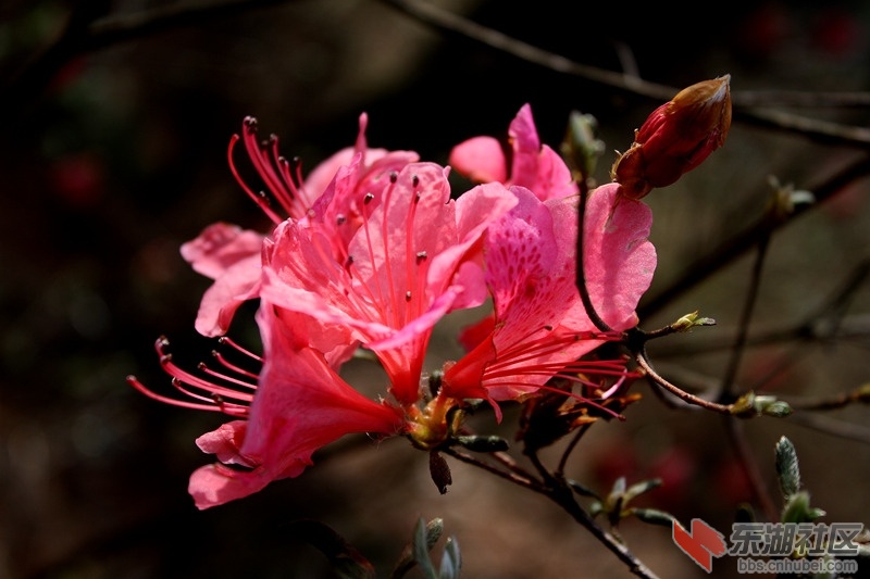 IMG_9924_副本.jpg