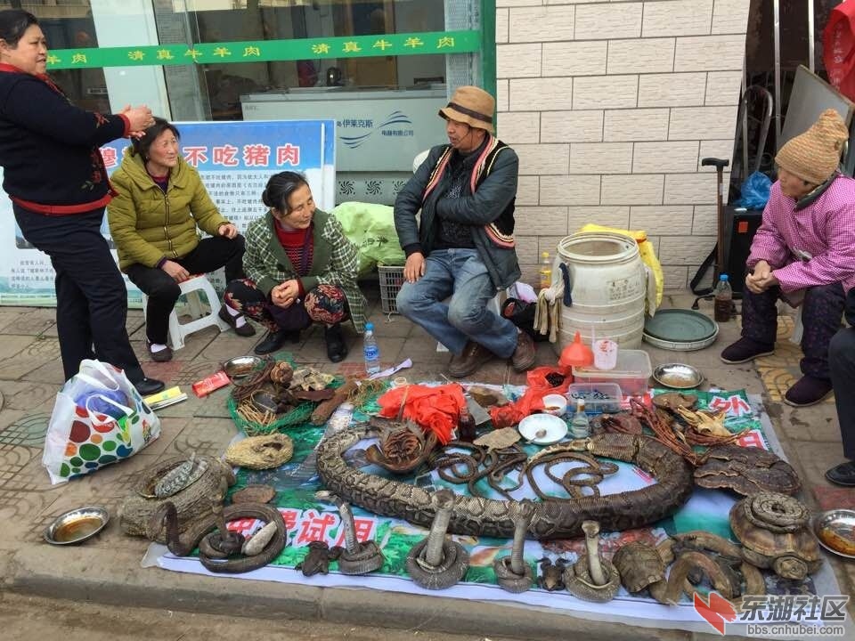 QQ图片20150326085842.jpg