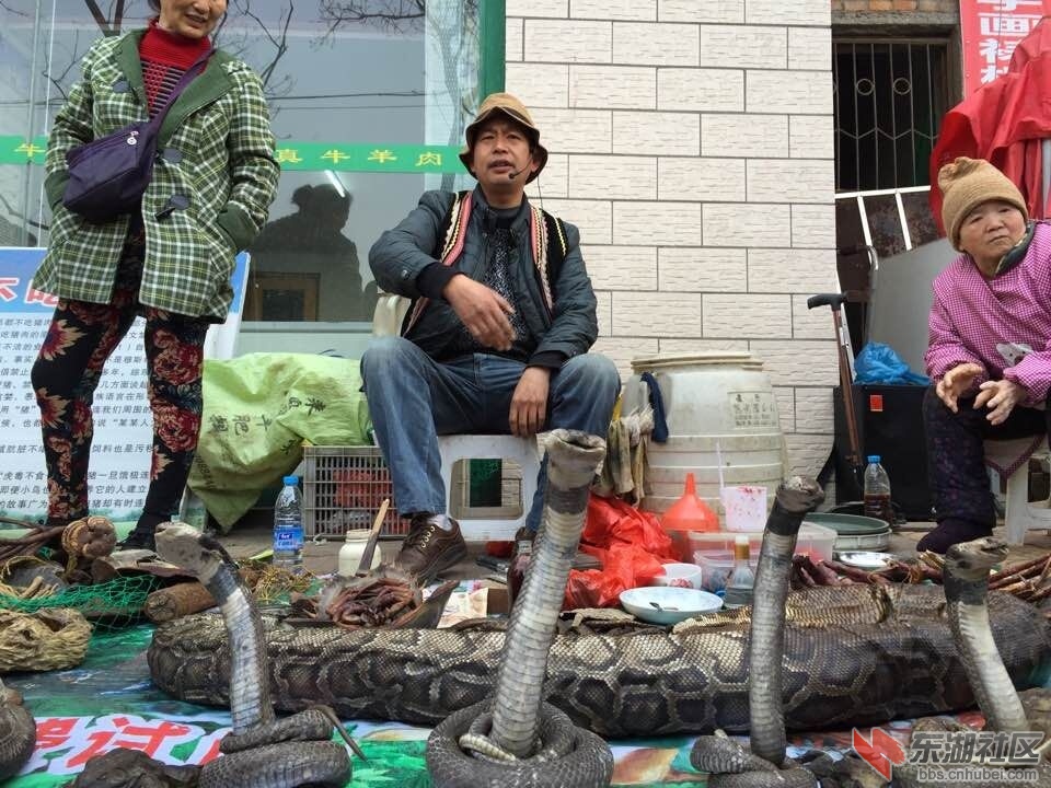 QQ图片20150326085849.jpg