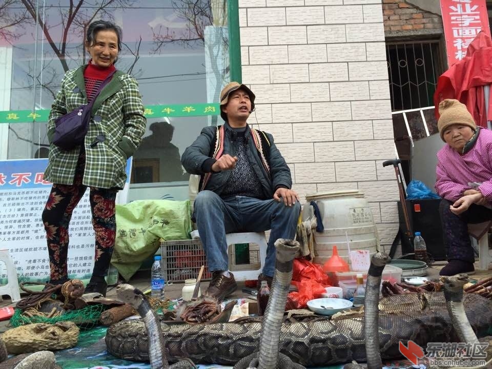 QQ图片20150326085853.jpg