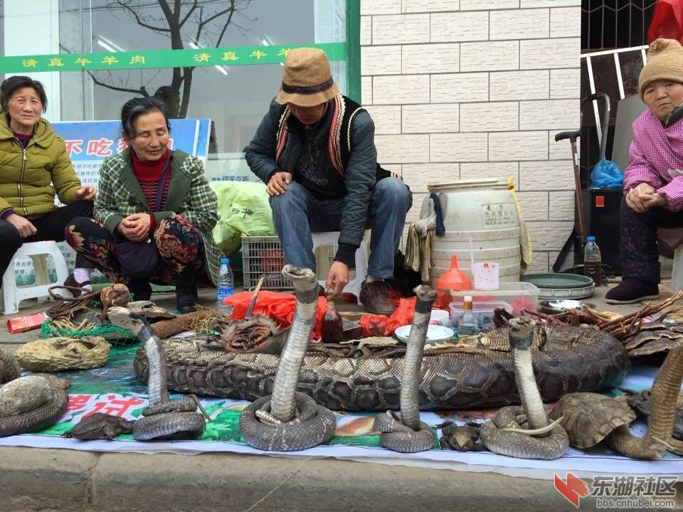 QQ图片20150326085856.jpg