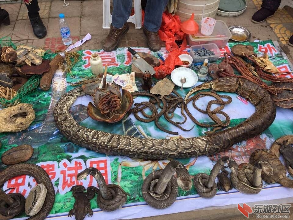 QQ图片20150326085906.jpg