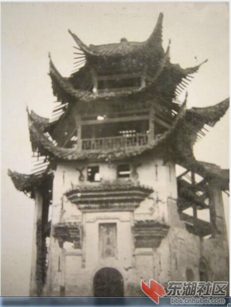 伍彩霞2484110184.jpg