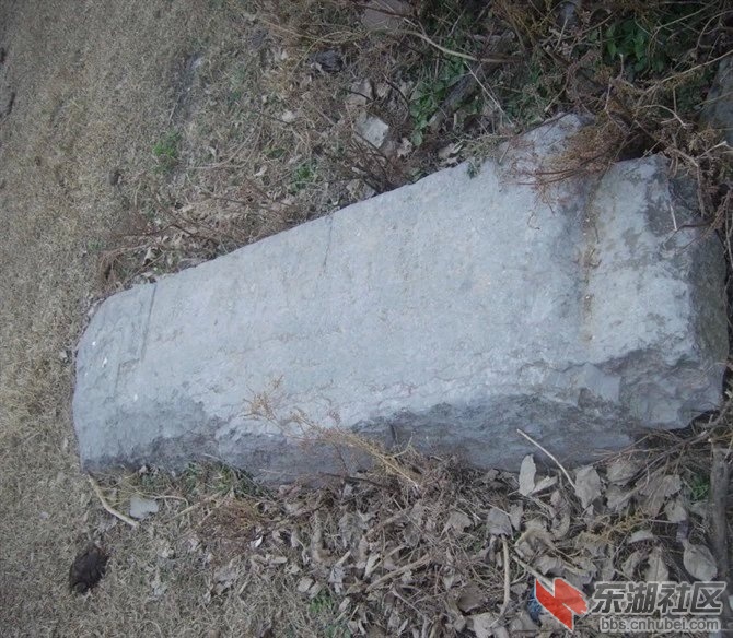 QQ伍彩霞.jpg
