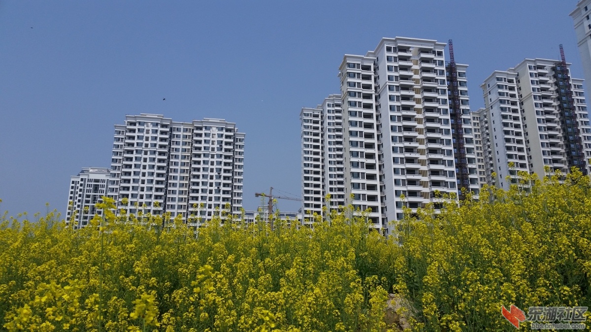 20150325_122826.jpg