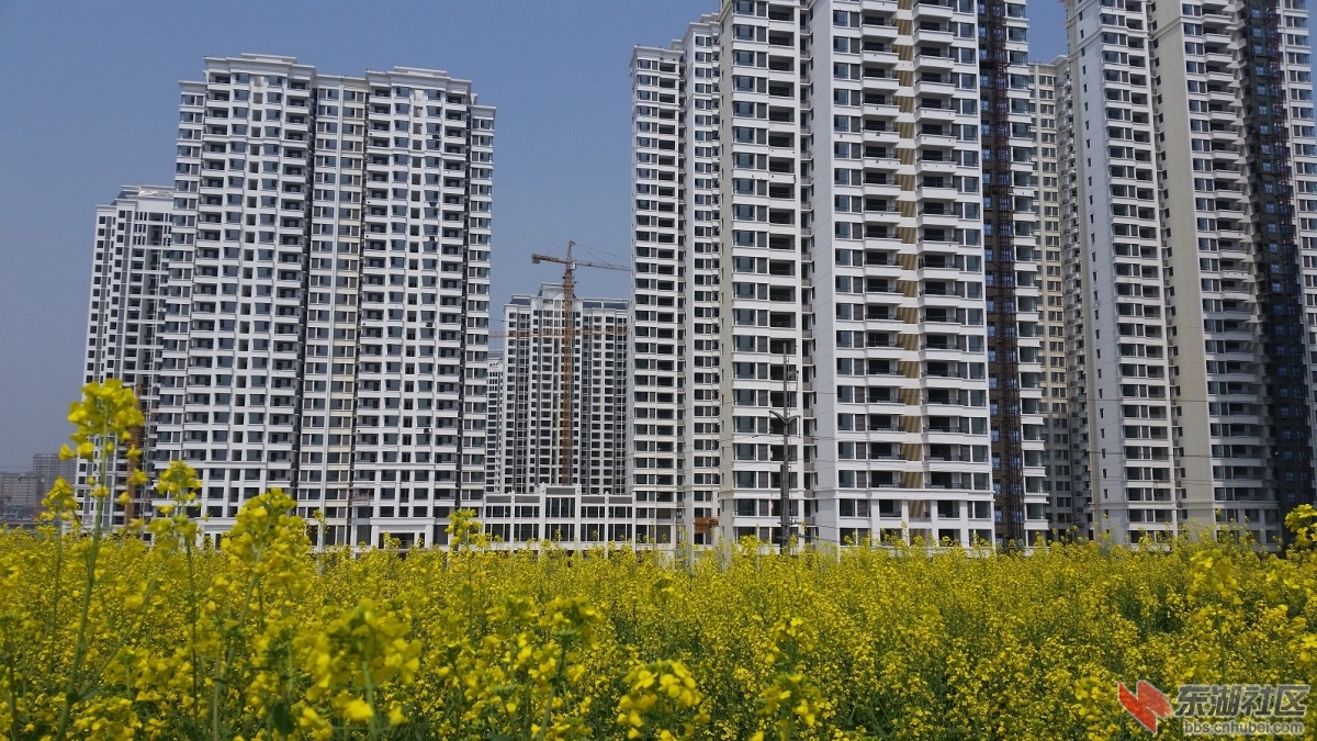 20150325_122929.jpg