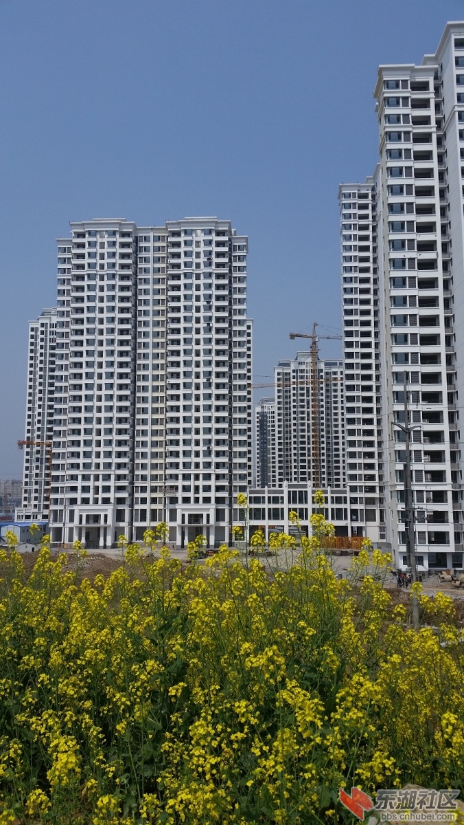 20150325_123153.jpg