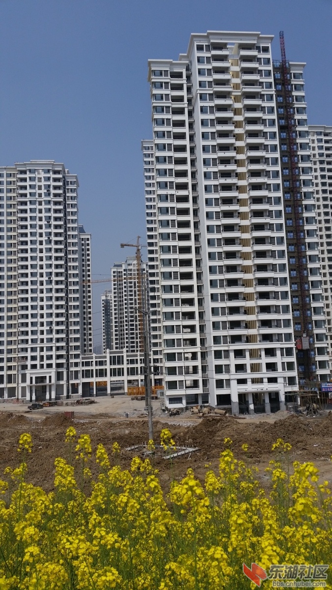 20150325_123354.jpg