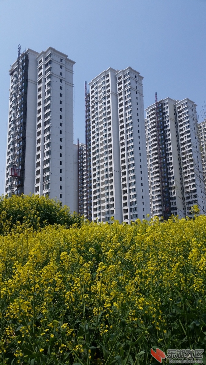 20150325_124340.jpg