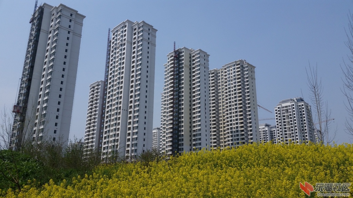 20150325_124701.jpg