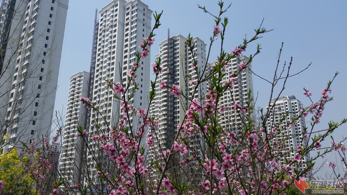 20150325_124509.jpg