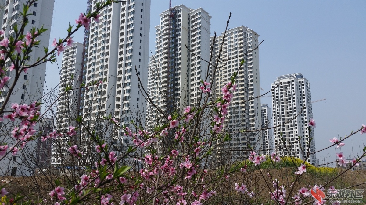 20150325_124545.jpg