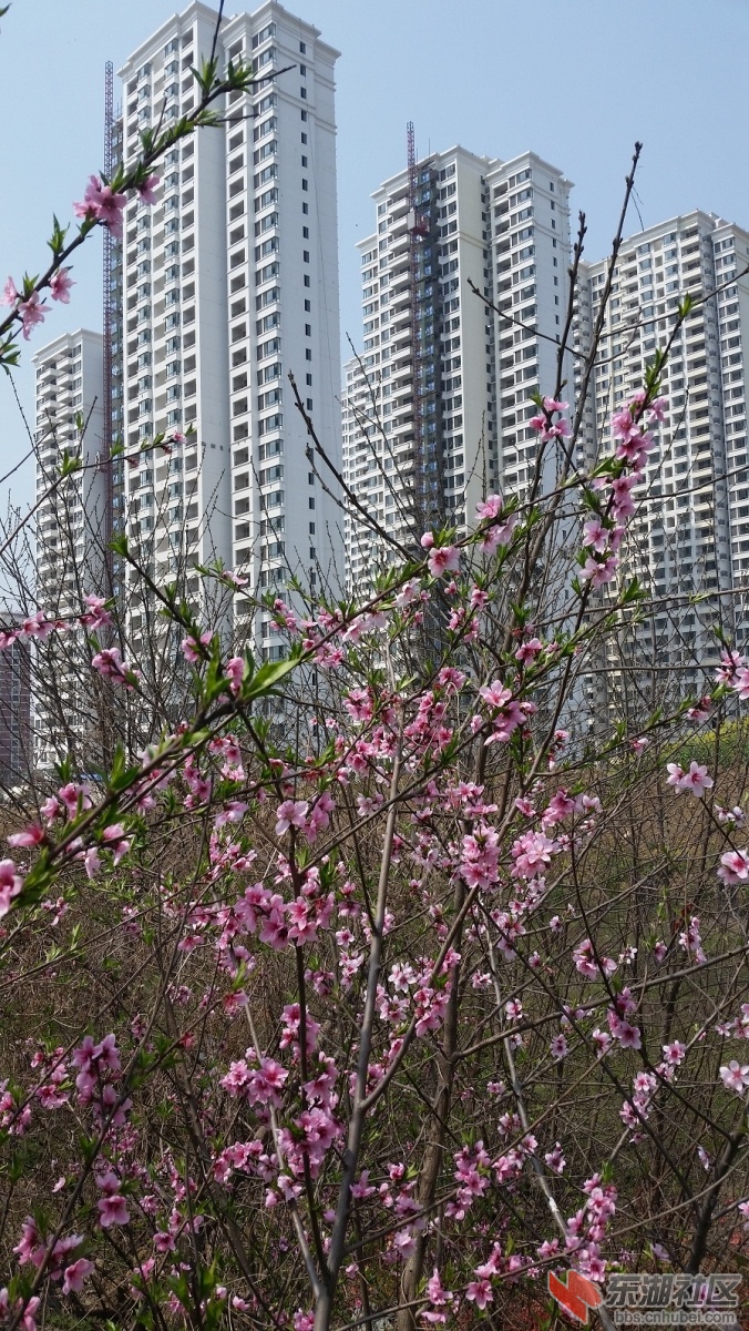 20150325_124533.jpg
