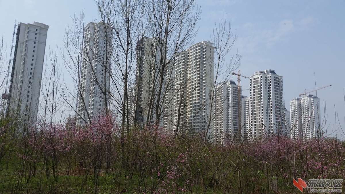 20150325_125044.jpg