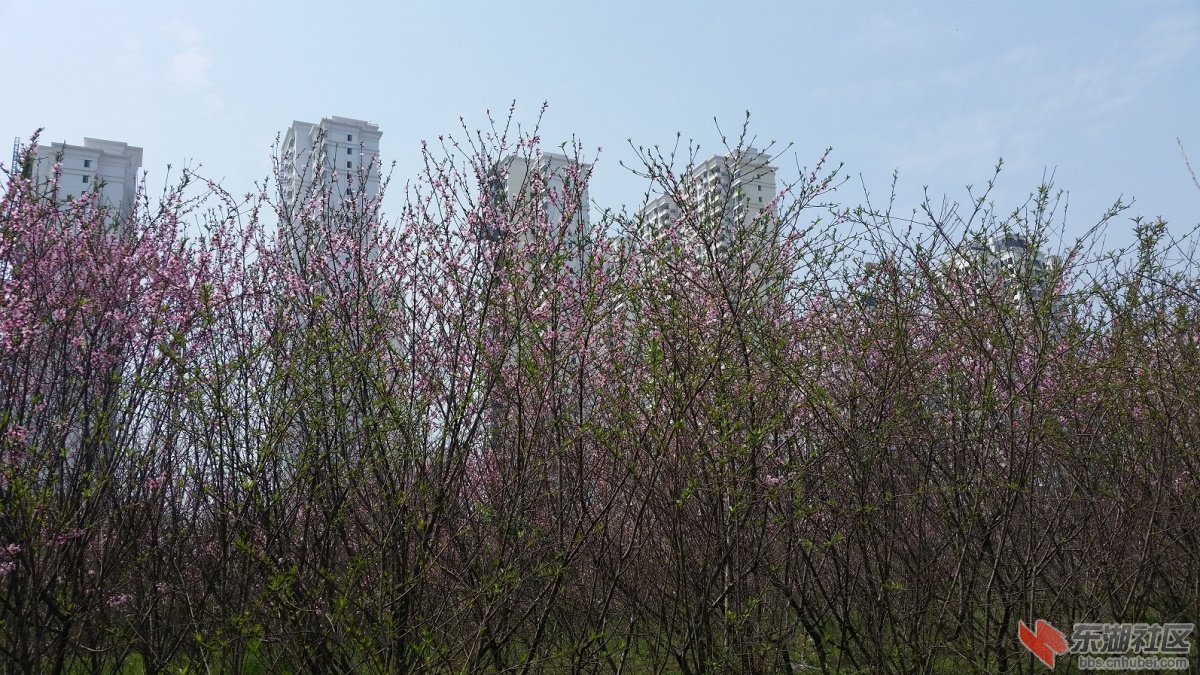20150325_125146.jpg