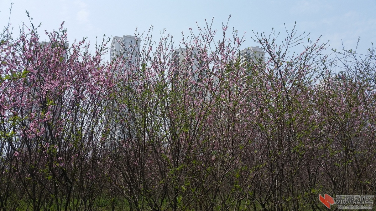 20150325_125159.jpg
