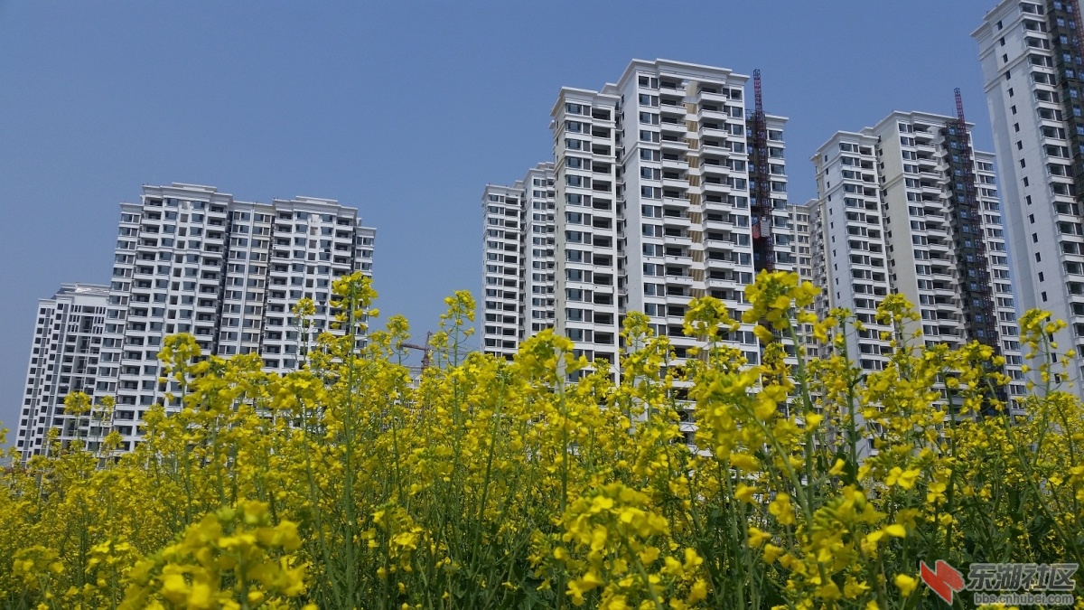 20150325_123706.jpg