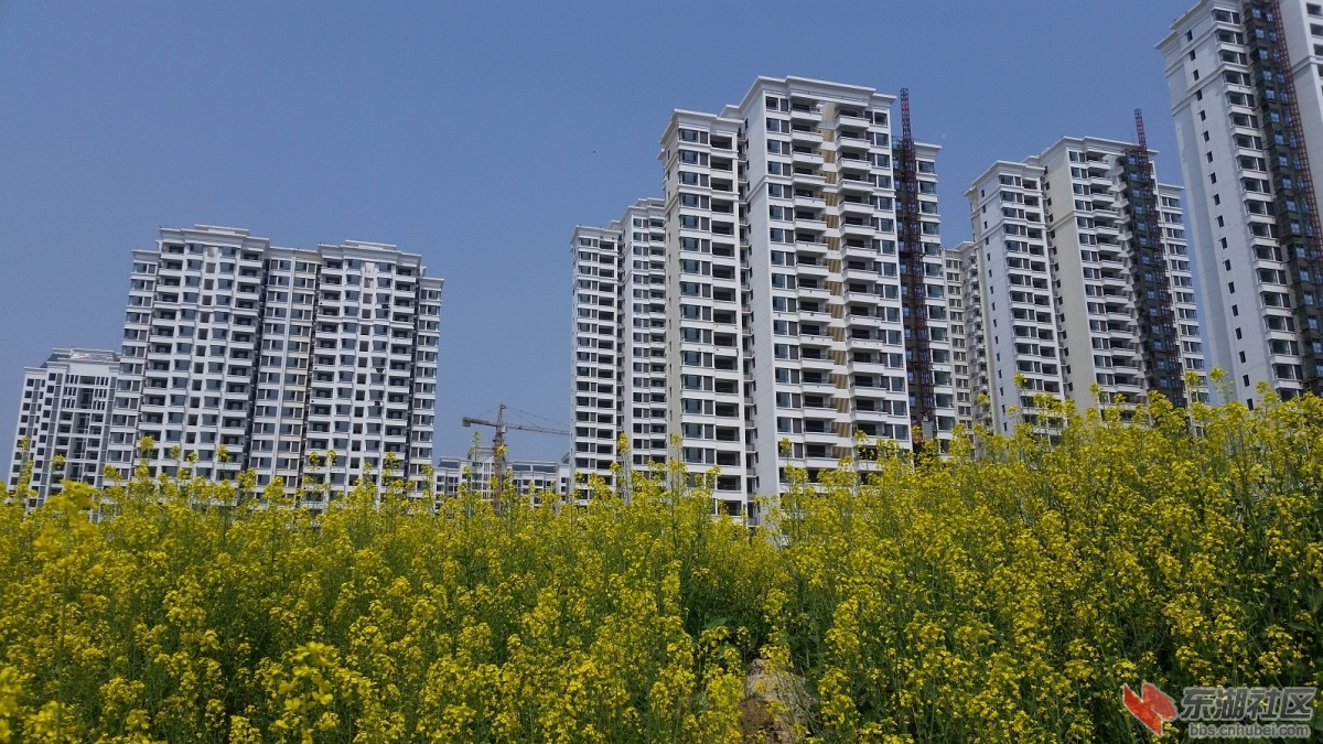 20150325_123744.jpg