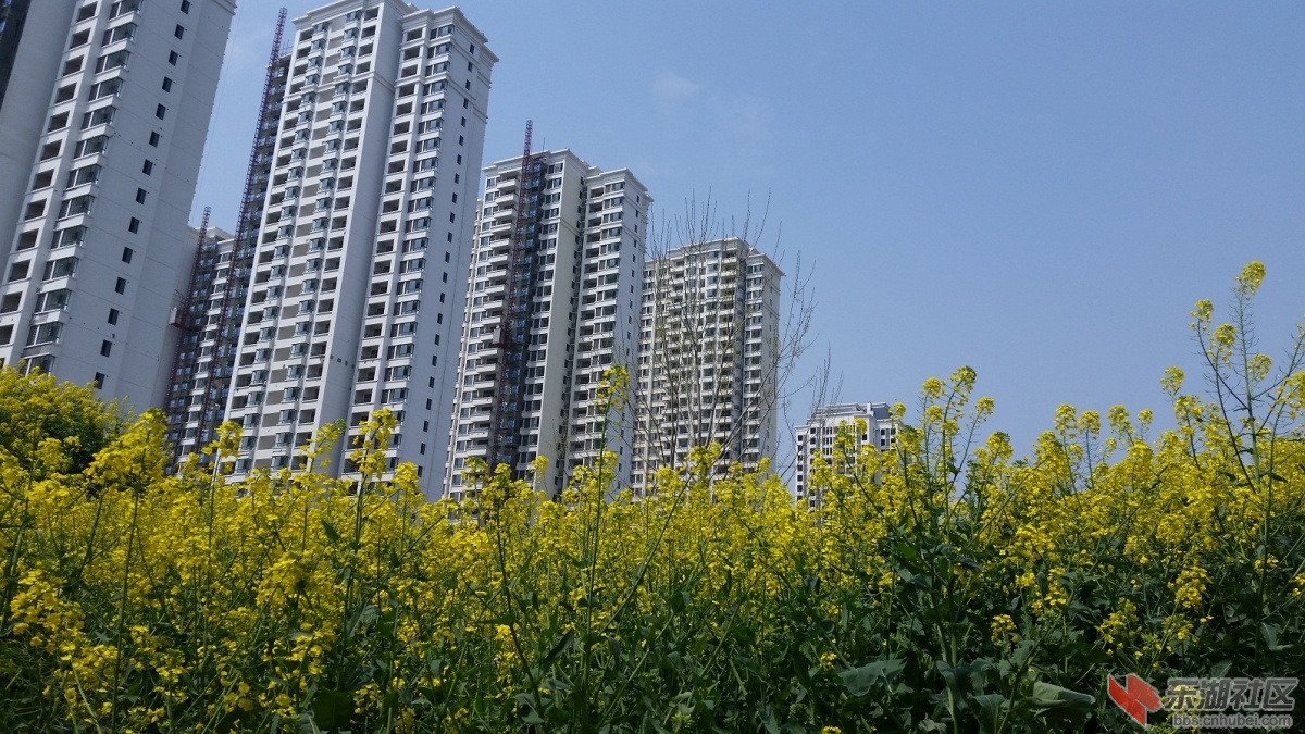 20150325_125608.jpg